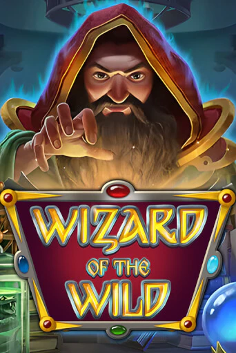 Играй в слот Wizard of the Wild без регистрации | Казино Азино777